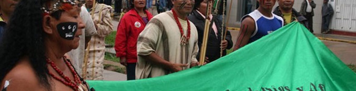 piquia-1.jpg