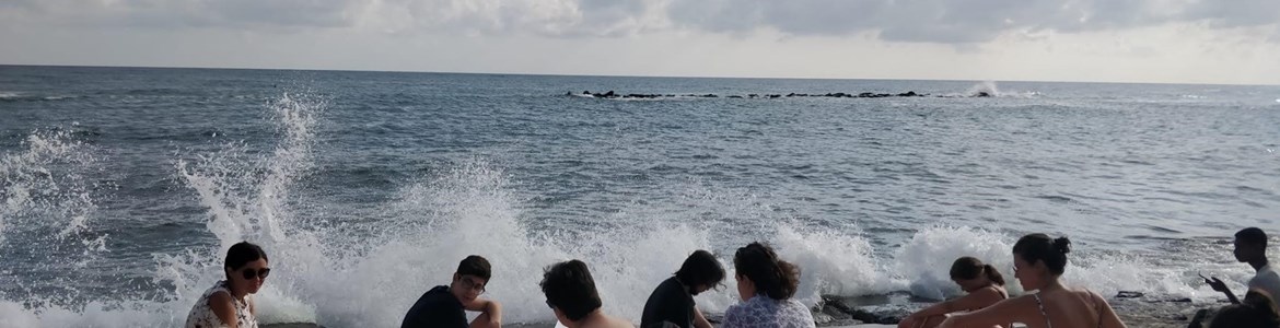 Bisceglie1
