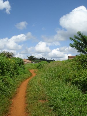 congo-1.jpg