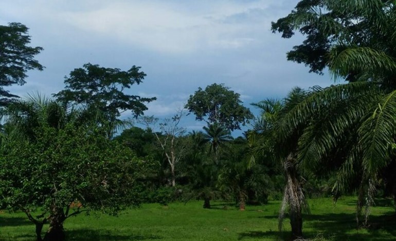 congo-4.jpg